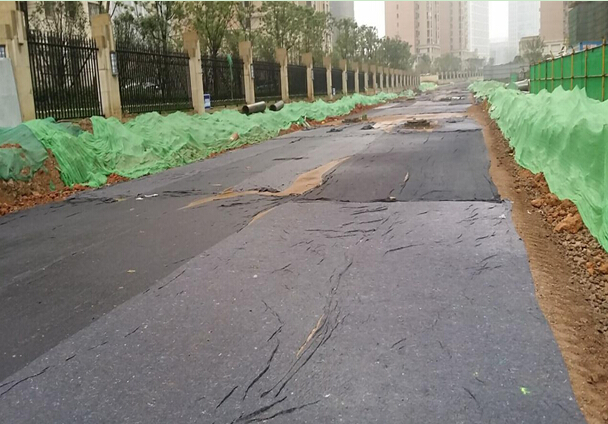 ���Ź����217��(�й���)����