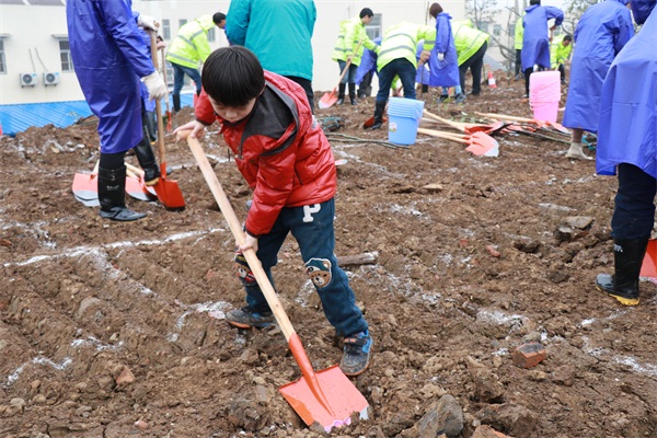 ���Ź����217��(�й���)����