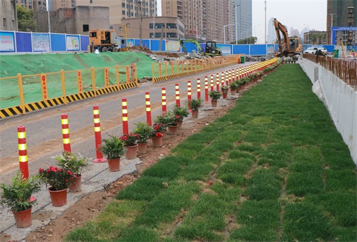 ���Ź����217��(�й���)����