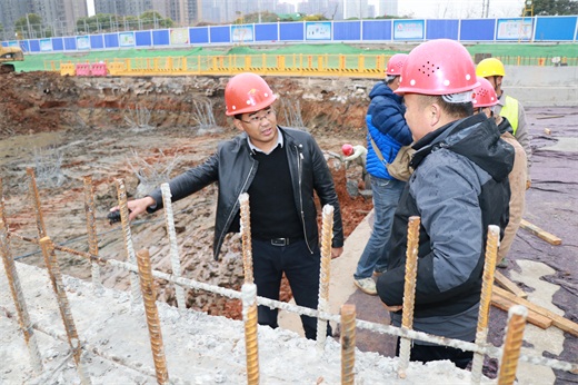 ���Ź����217��(�й���)����