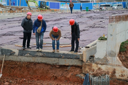 ���Ź����217��(�й���)����