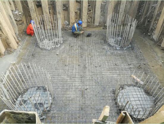 ���Ź����217��(�й���)����