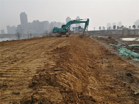 ���Ź����217��(�й���)����