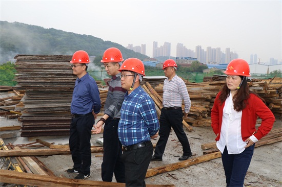 ���Ź����217��(�й���)����