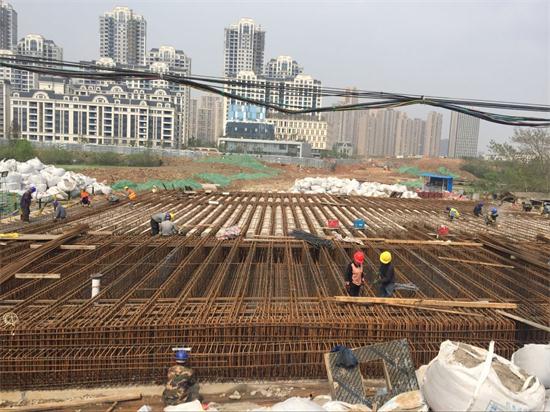 ���Ź����217��(�й���)����