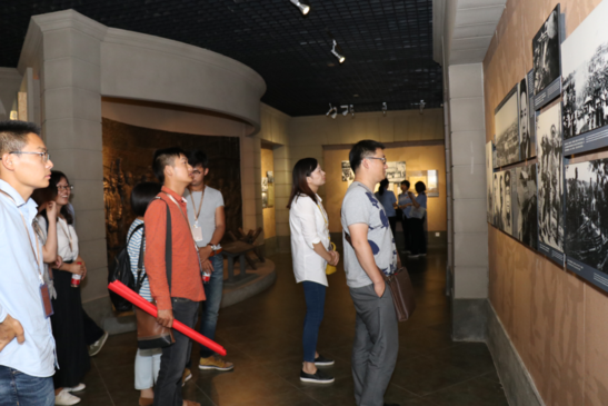 ���Ź����217��(�й���)����