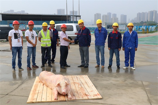 ���Ź����217��(�й���)����