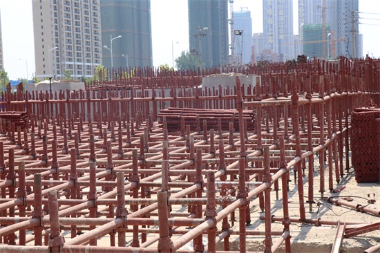 ���Ź����217��(�й���)����