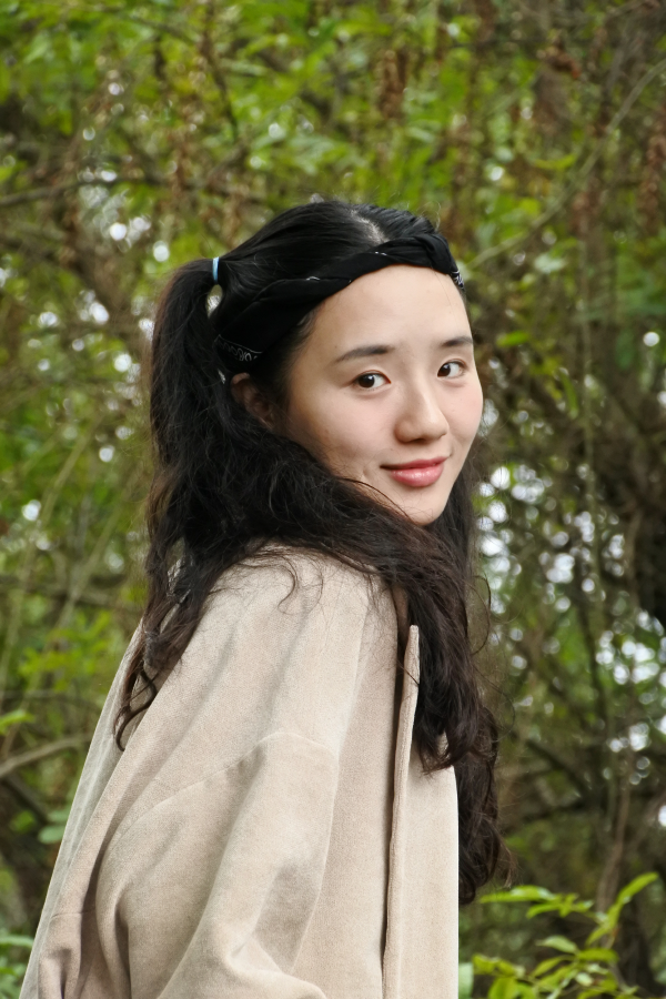 ���Ź����217��(�й���)����