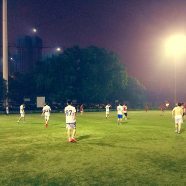 ���Ź����217��(�й���)����