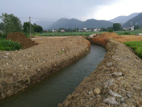 ���Ź����217��(�й���)����