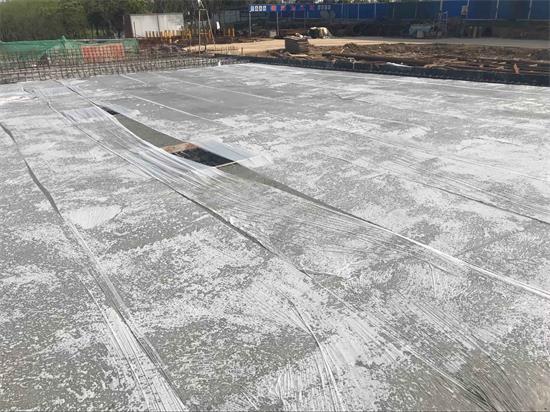 ���Ź����217��(�й���)����