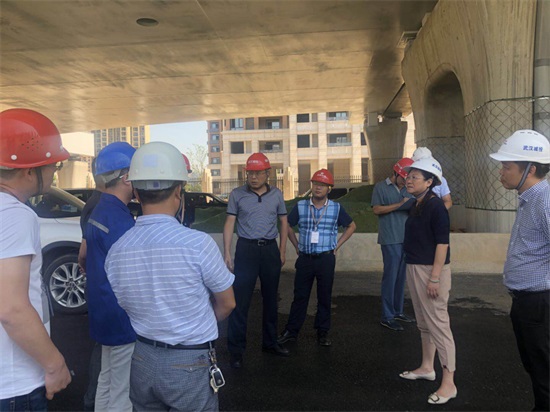 ���Ź����217��(�й���)����