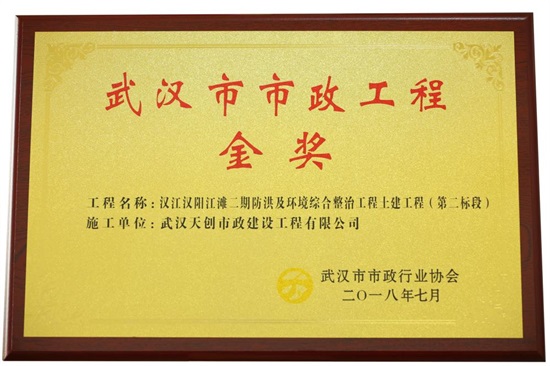 ���Ź����217��(�й���)����