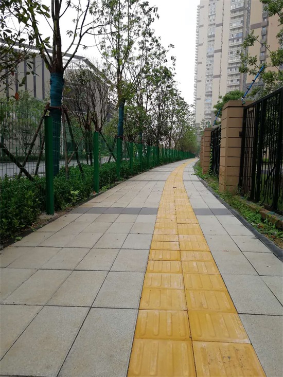 ���Ź����217��(�й���)����