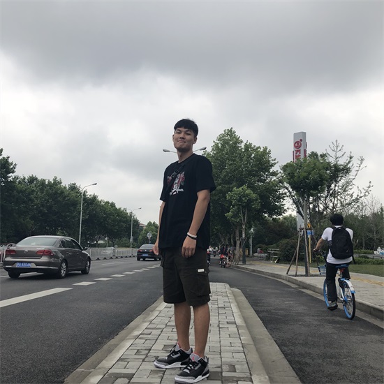 ���Ź����217��(�й���)����