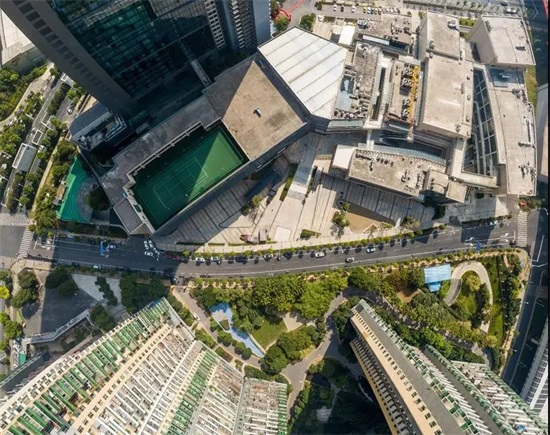 ���Ź����217��(�й���)����