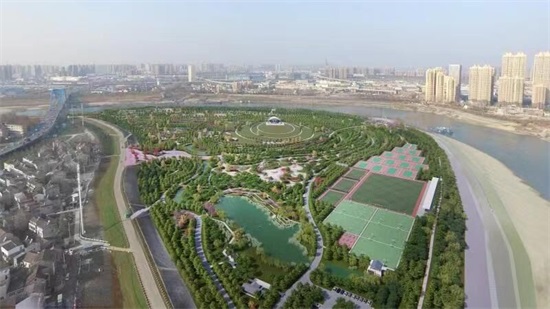 ���Ź����217��(�й���)����