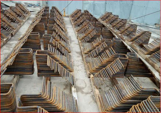 ���Ź����217��(�й���)����