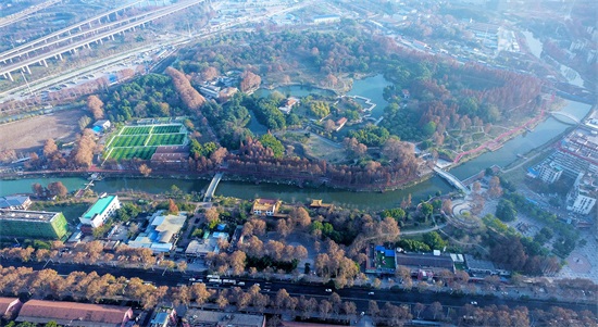 ���Ź����217��(�й���)����