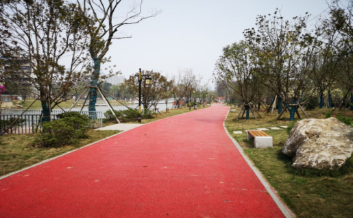 ���Ź����217��(�й���)����