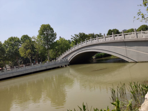 ���Ź����217��(�й���)����