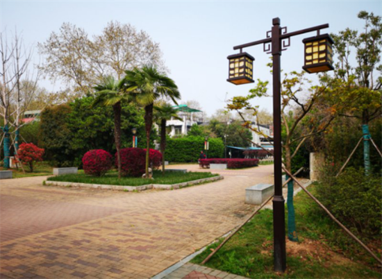 ���Ź����217��(�й���)����