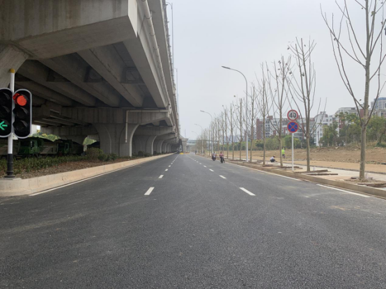 ���Ź����217��(�й���)����