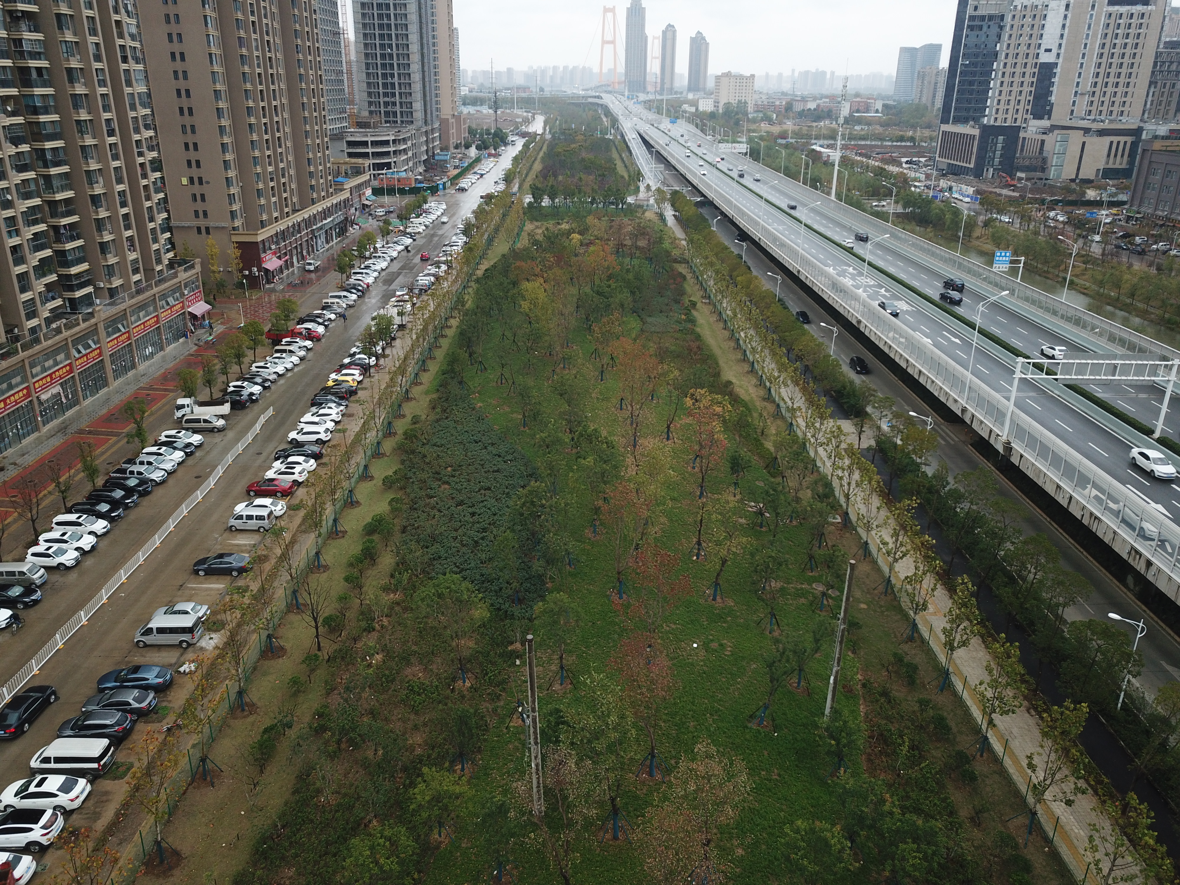 ���Ź����217��(�й���)����