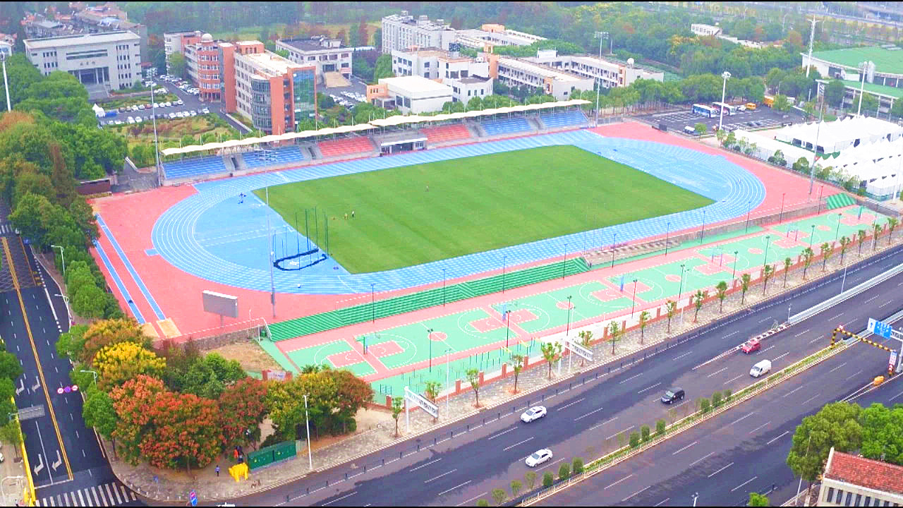 ���Ź����217��(�й���)����