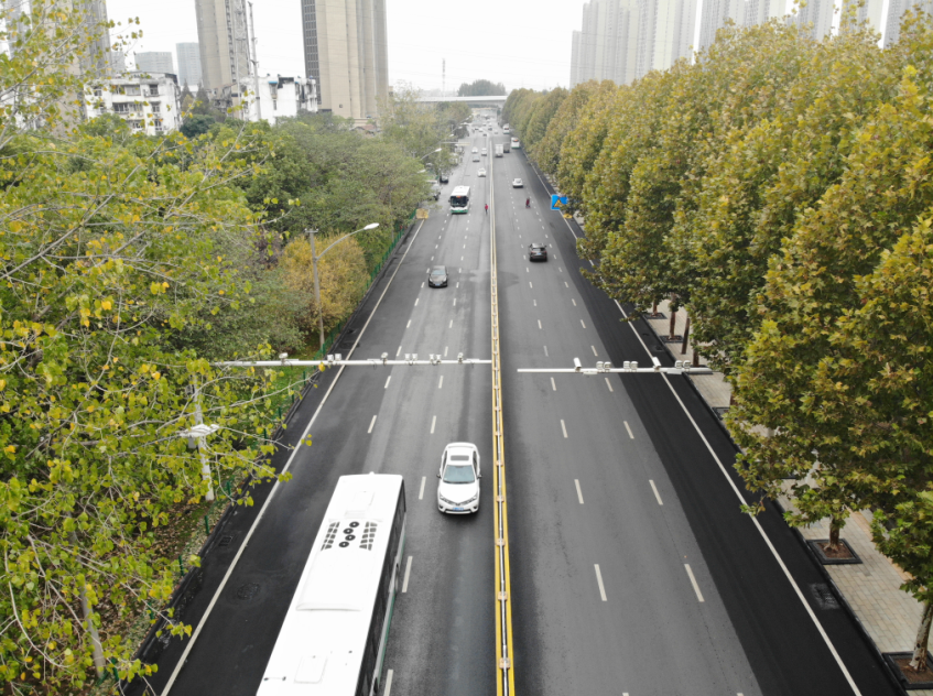 ���Ź����217��(�й���)����