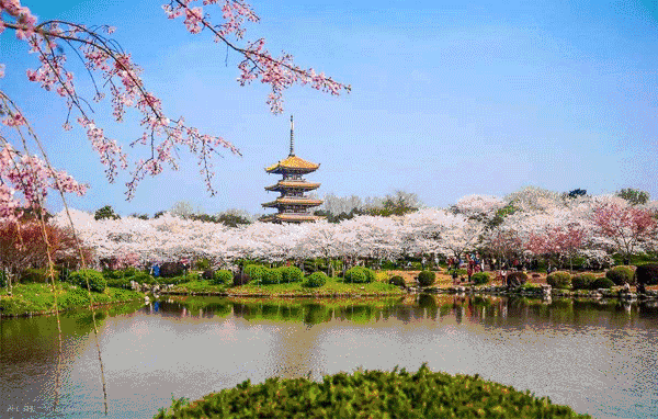 ���Ź����217��(�й���)����