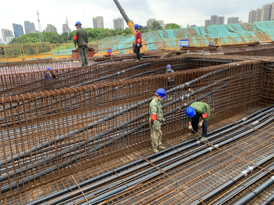 ���Ź����217��(�й���)����