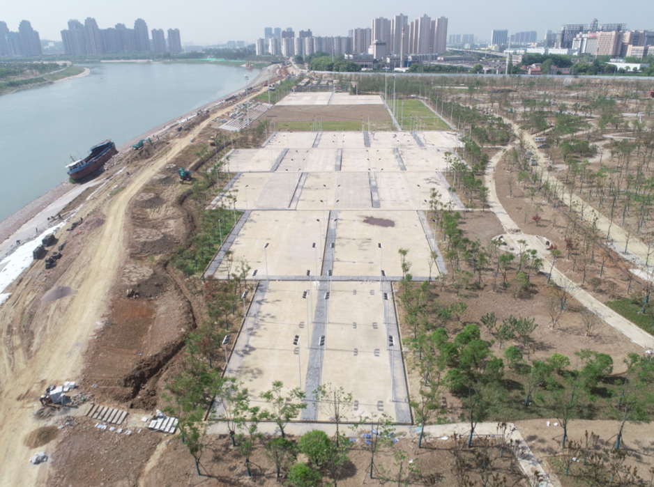 ���Ź����217��(�й���)����