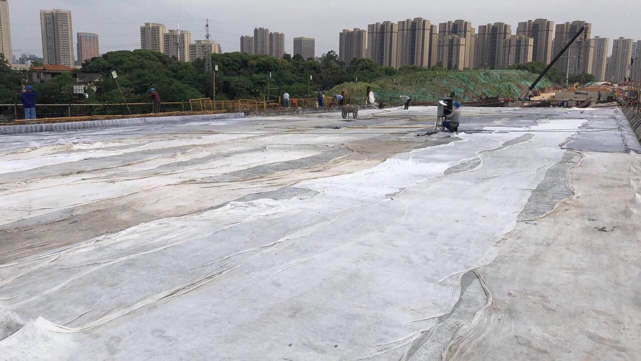 ���Ź����217��(�й���)����