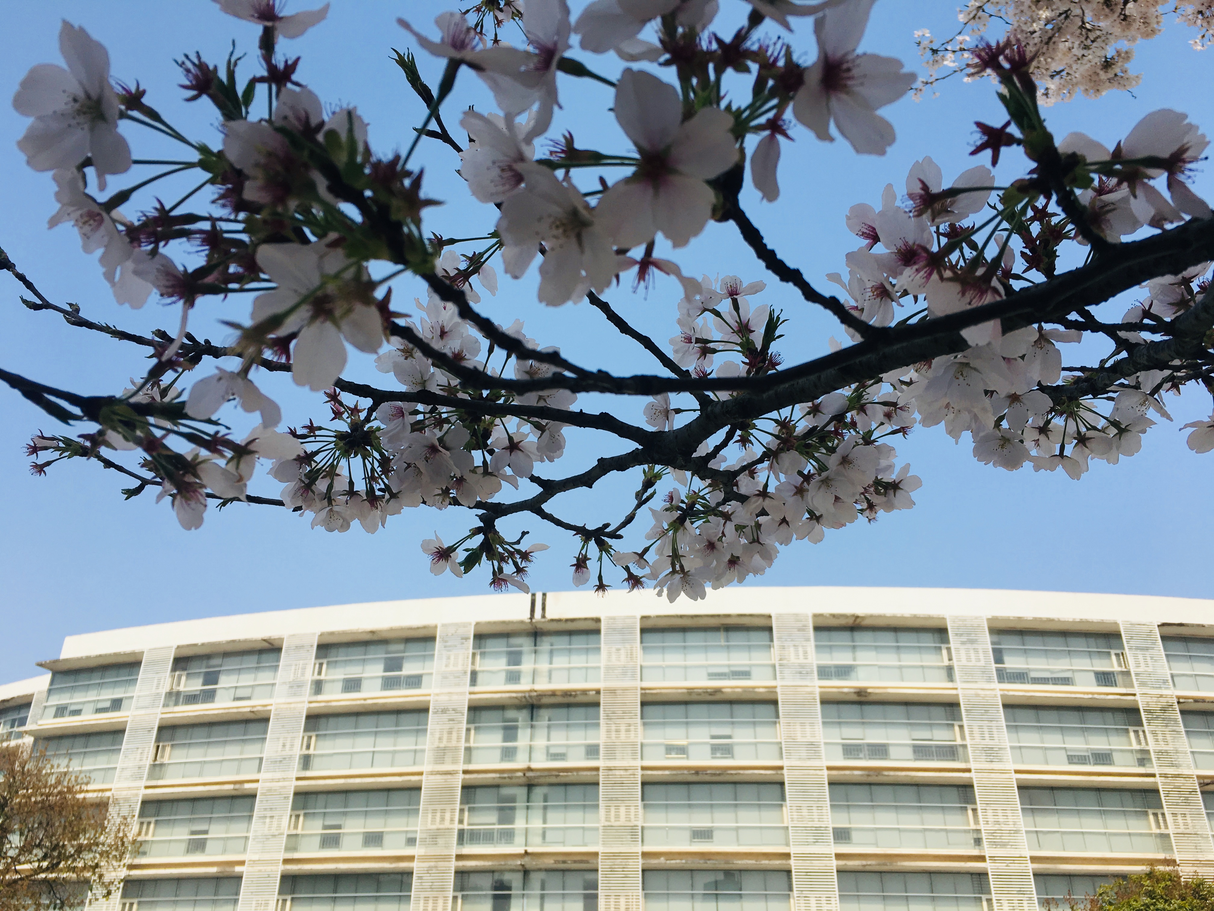 ���Ź����217��(�й���)����