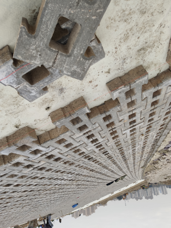 ���Ź����217��(�й���)����