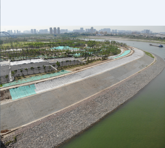 ���Ź����217��(�й���)����