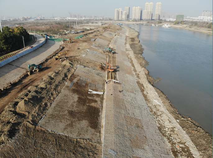 ���Ź����217��(�й���)����