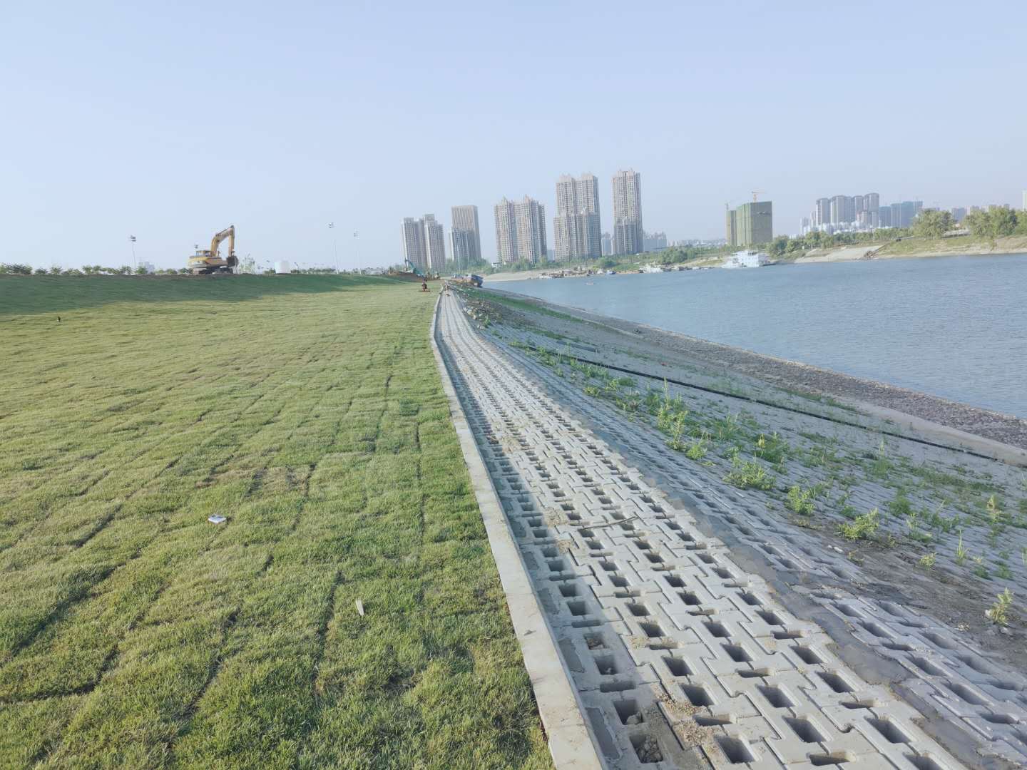 ���Ź����217��(�й���)����