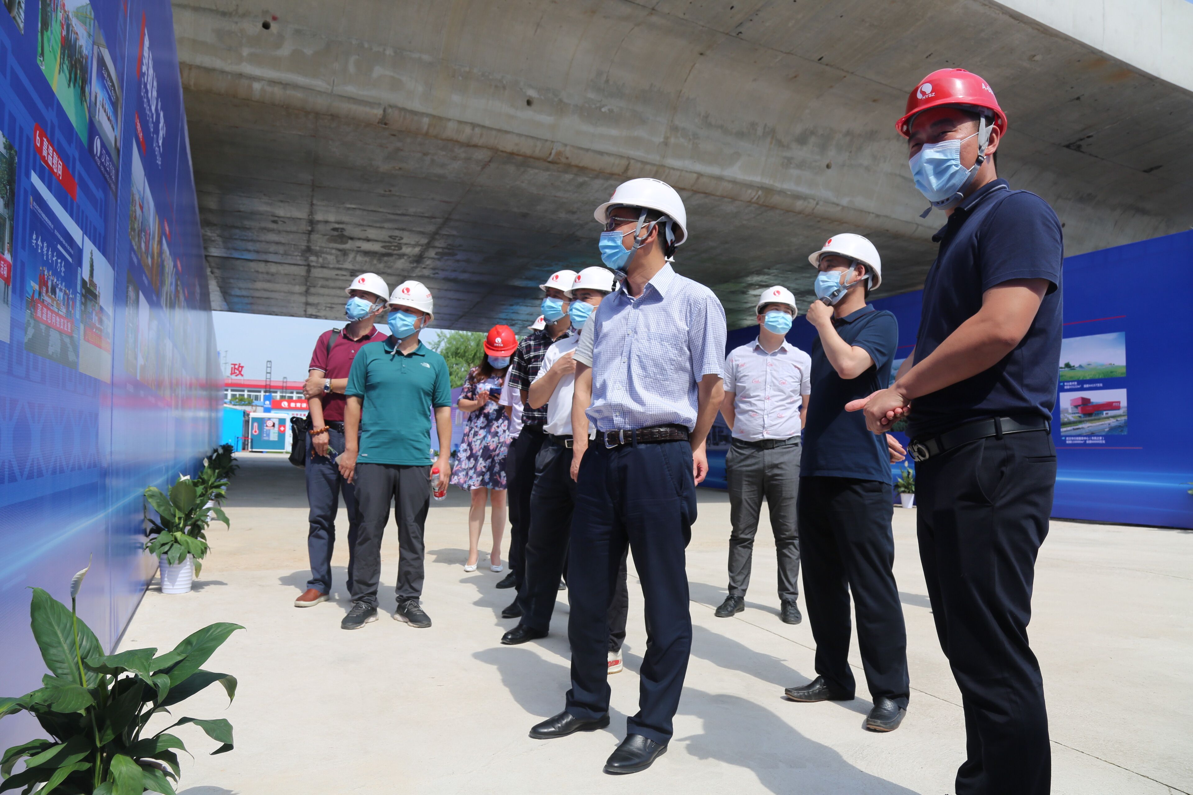 ���Ź����217��(�й���)����