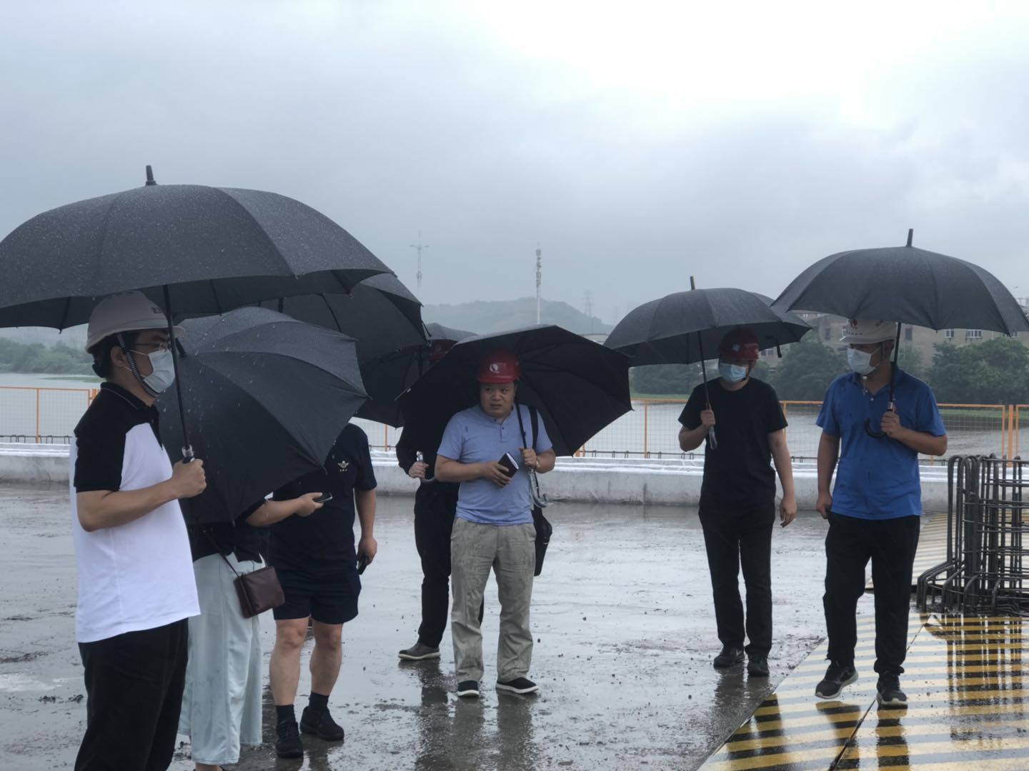 ���Ź����217��(�й���)����