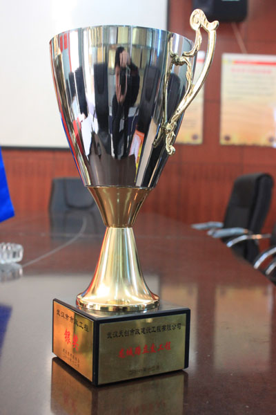 ���Ź����217��(�й���)����