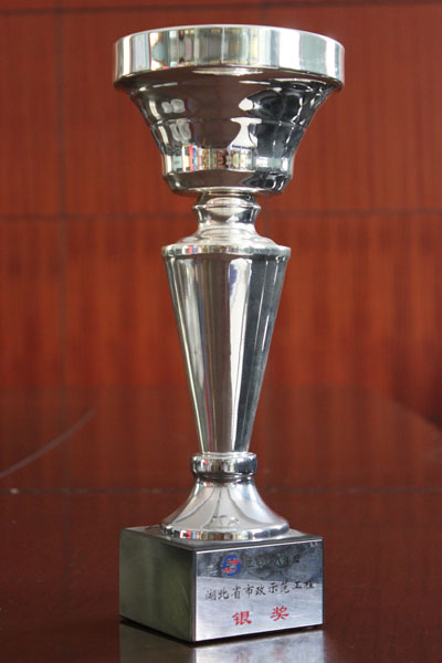 ���Ź����217��(�й���)����