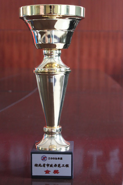 ���Ź����217��(�й���)����