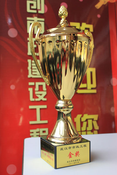 ���Ź����217��(�й���)����