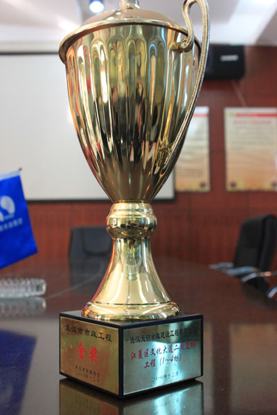 ���Ź����217��(�й���)����