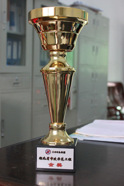 ���Ź����217��(�й���)����