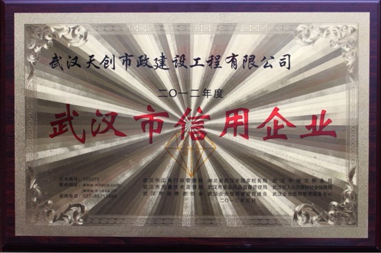 ���Ź����217��(�й���)����