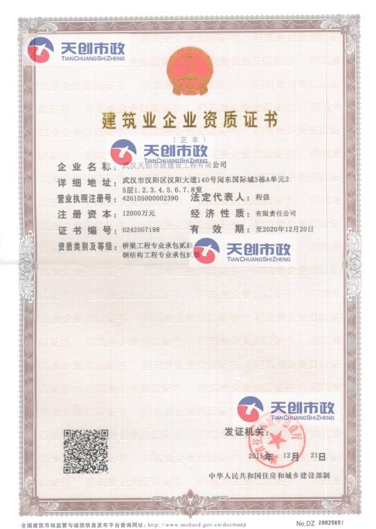 ���Ź����217��(�й���)����